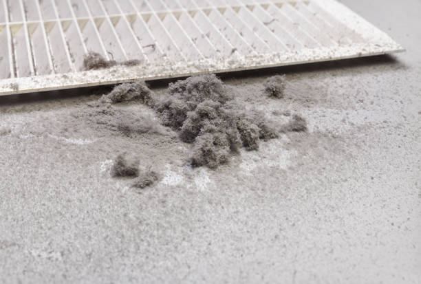 Best Local Air Duct Cleaning Services  in Panorama Village, TX