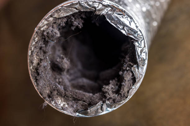 Best Professional Duct Cleaning Services  in Panorama Village, TX